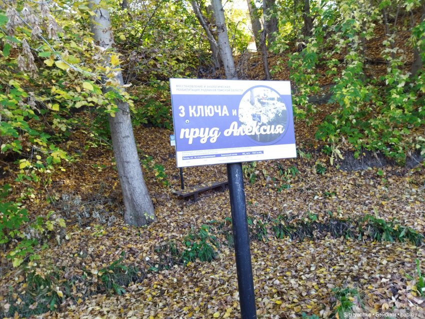 Познавательная прогулка Юленьки