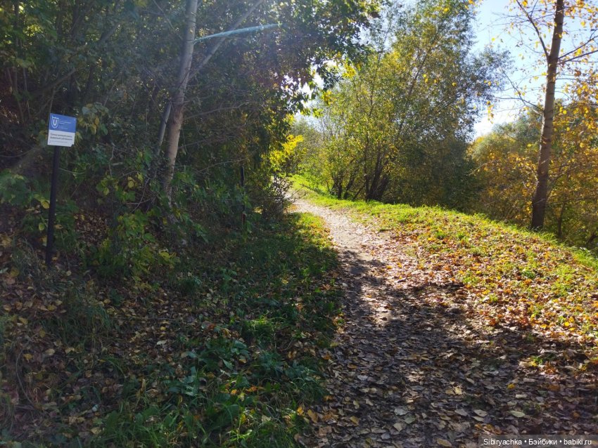 Познавательная прогулка Юленьки (фото 4)