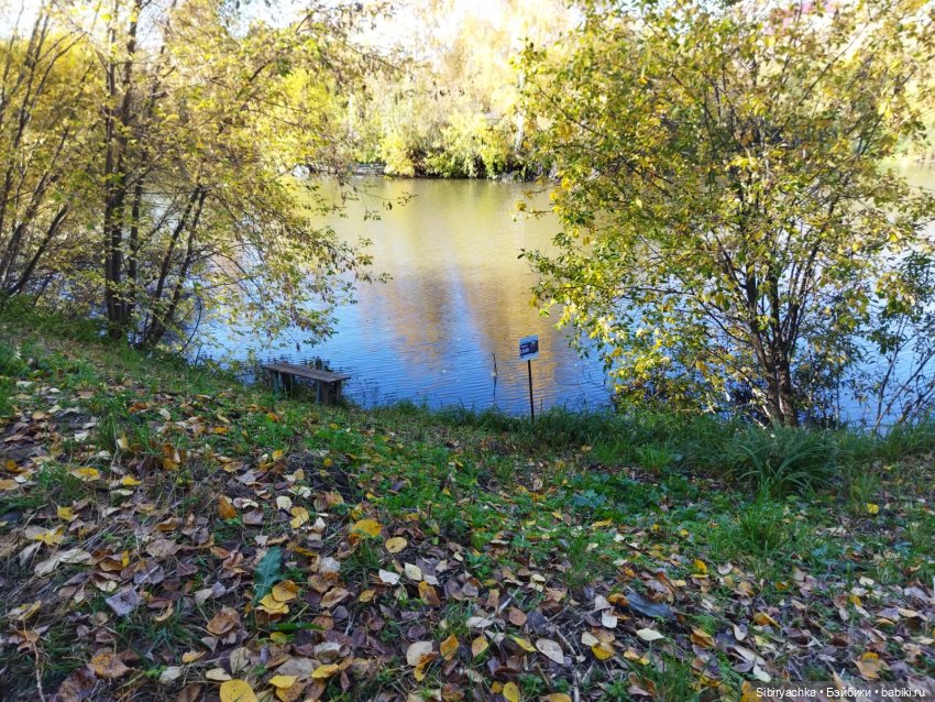 Познавательная прогулка Юленьки (фото 9)