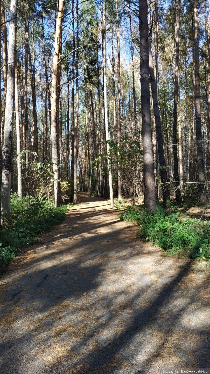 Юля слушает тихую песню осени в лесу (фото 2)