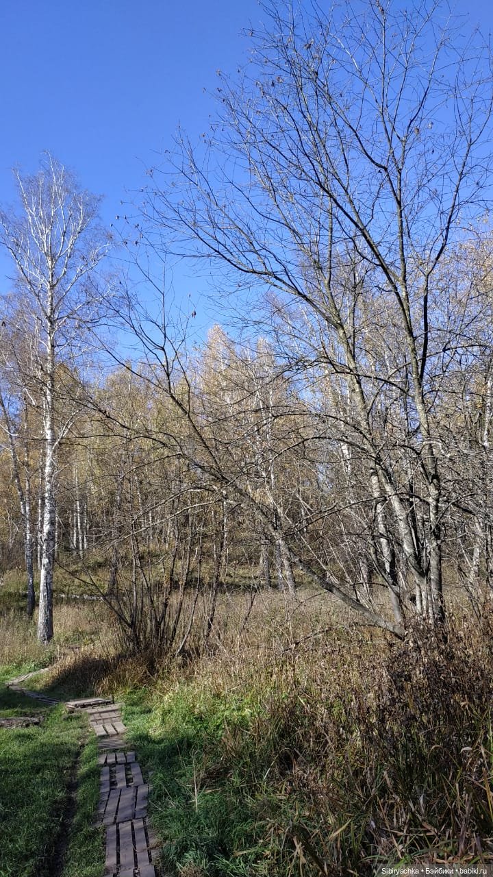 Юля слушает тихую песню осени в лесу