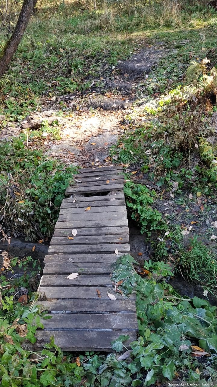 Юля слушает тихую песню осени в лесу