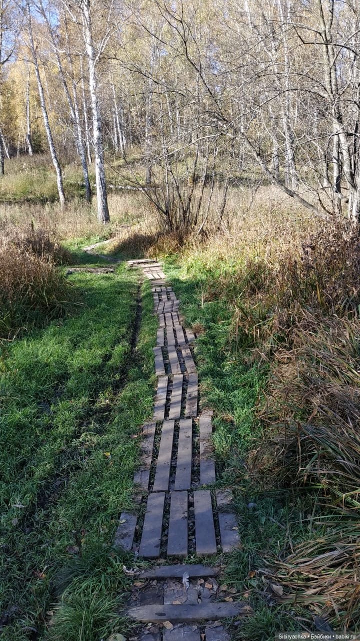Юля слушает тихую песню осени в лесу