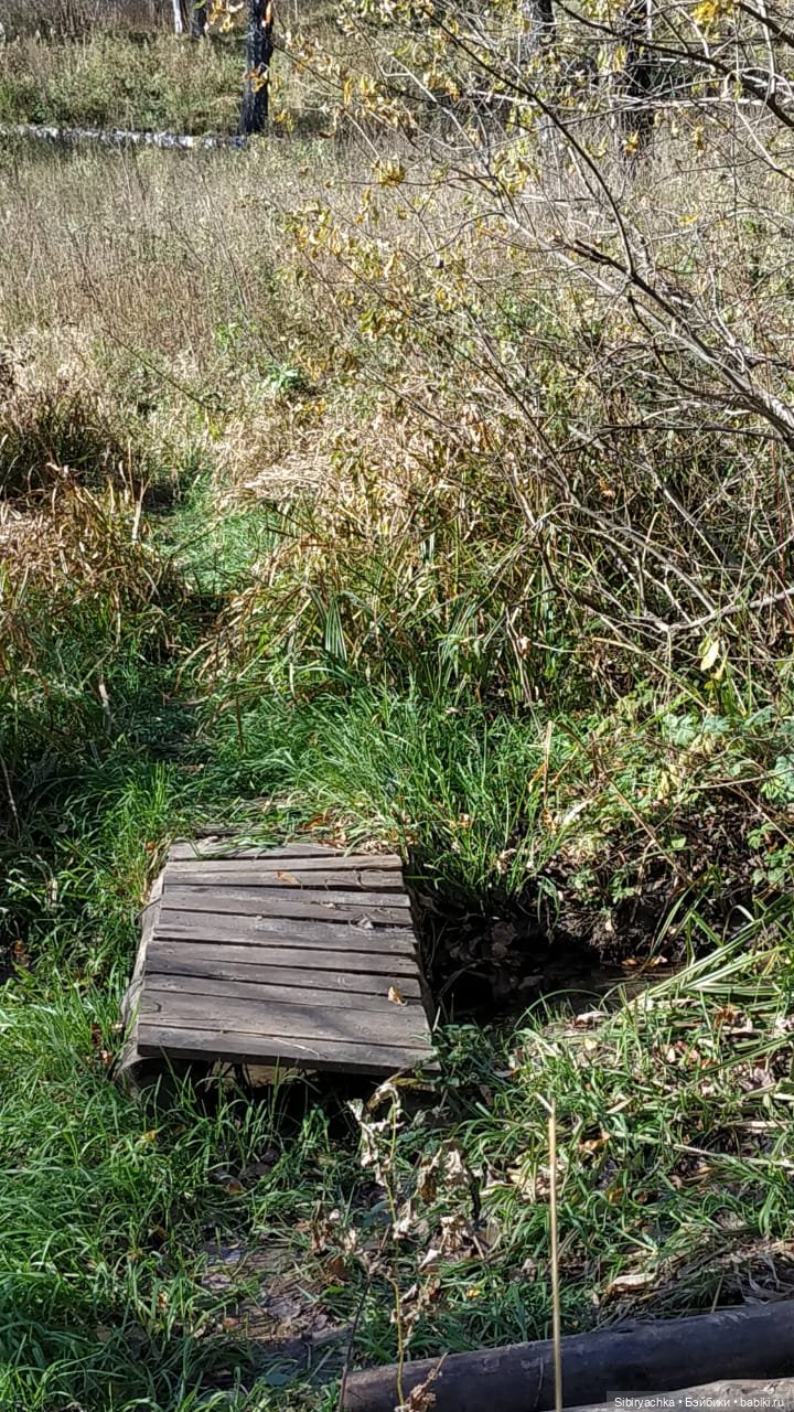 Юля слушает тихую песню осени в лесу