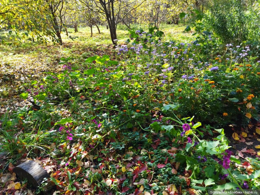 Юля в Ботаническом саду — Советские винтажные куклы (СССР): Ленигрушка