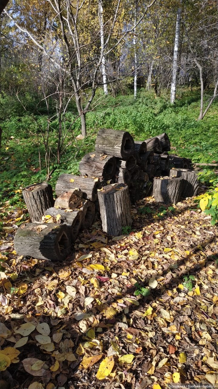 Юля в Ботаническом саду — Советские винтажные куклы (СССР): Ленигрушка