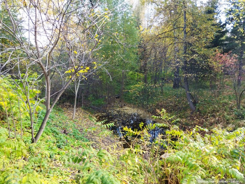 Юля в Ботаническом саду — Советские винтажные куклы (СССР): Ленигрушка (фото 2)