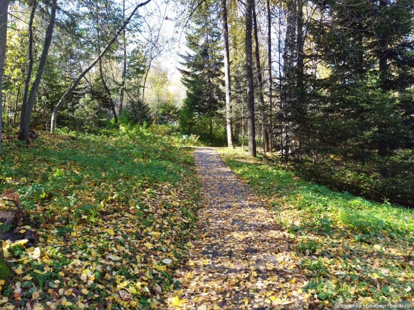 Юля в Ботаническом саду — Советские винтажные куклы (СССР): Ленигрушка (фото 3)