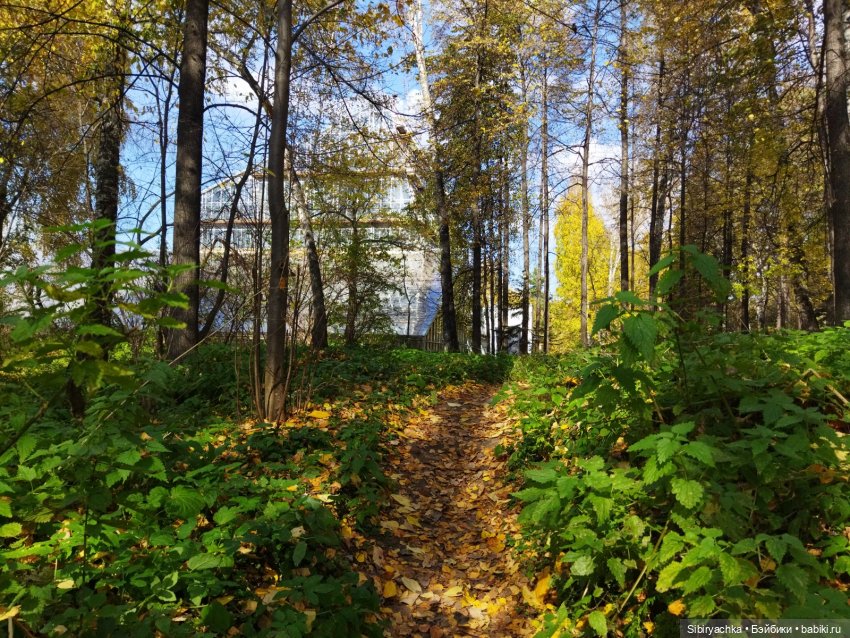 Юля в Ботаническом саду — Советские винтажные куклы (СССР): Ленигрушка