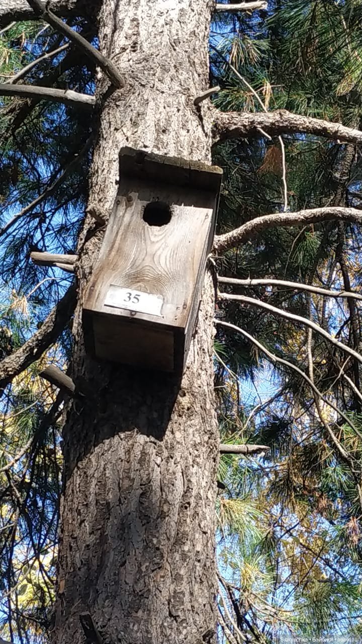 Юля в Ботаническом саду — Советские винтажные куклы (СССР): Ленигрушка