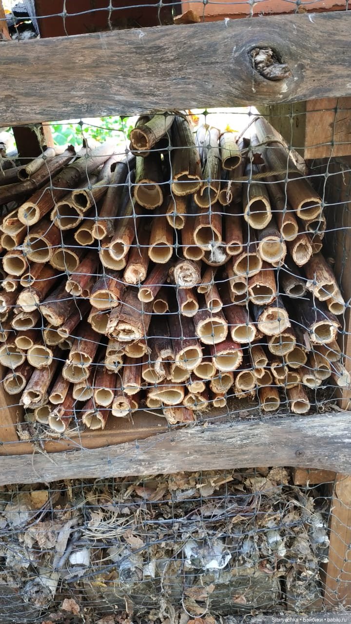 Юля в Ботаническом саду — Советские винтажные куклы (СССР): Ленигрушка