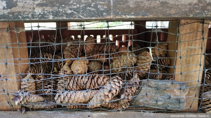 Юля в Ботаническом саду — Советские винтажные куклы (СССР): Ленигрушка