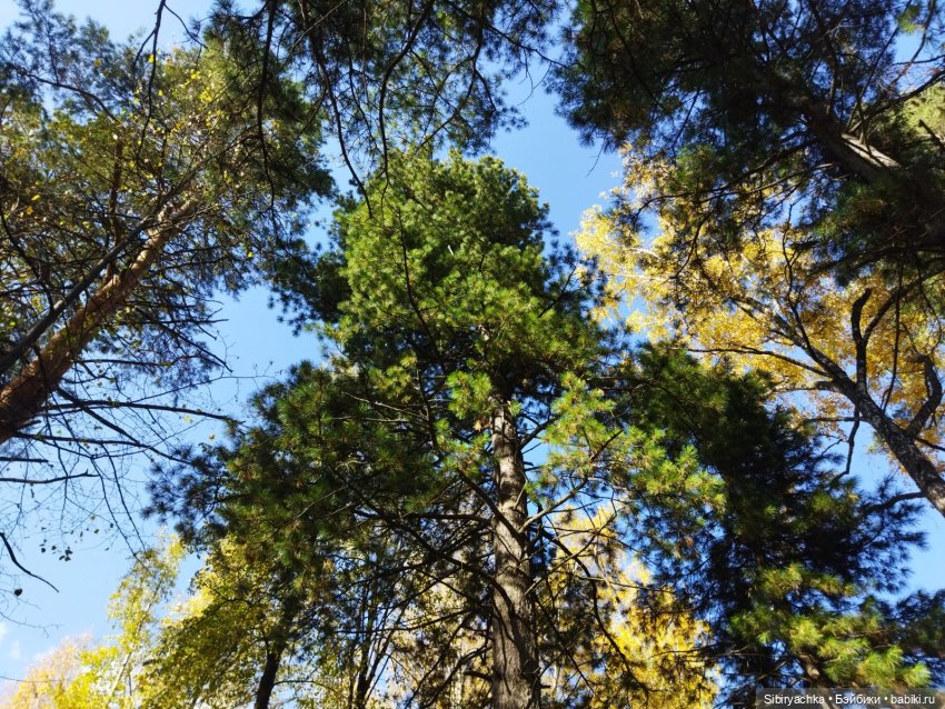 Юля в Ботаническом саду — Советские винтажные куклы (СССР): Ленигрушка