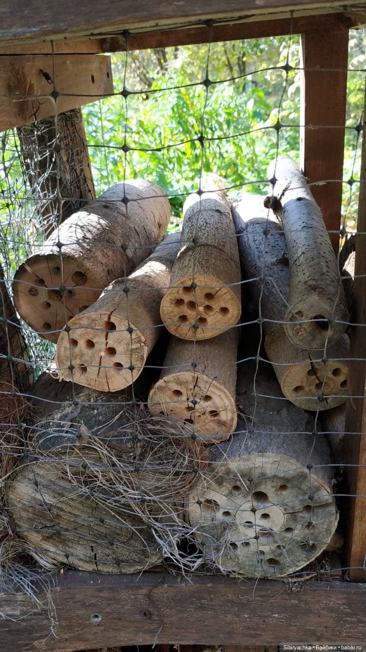 Юля в Ботаническом саду — Советские винтажные куклы (СССР): Ленигрушка