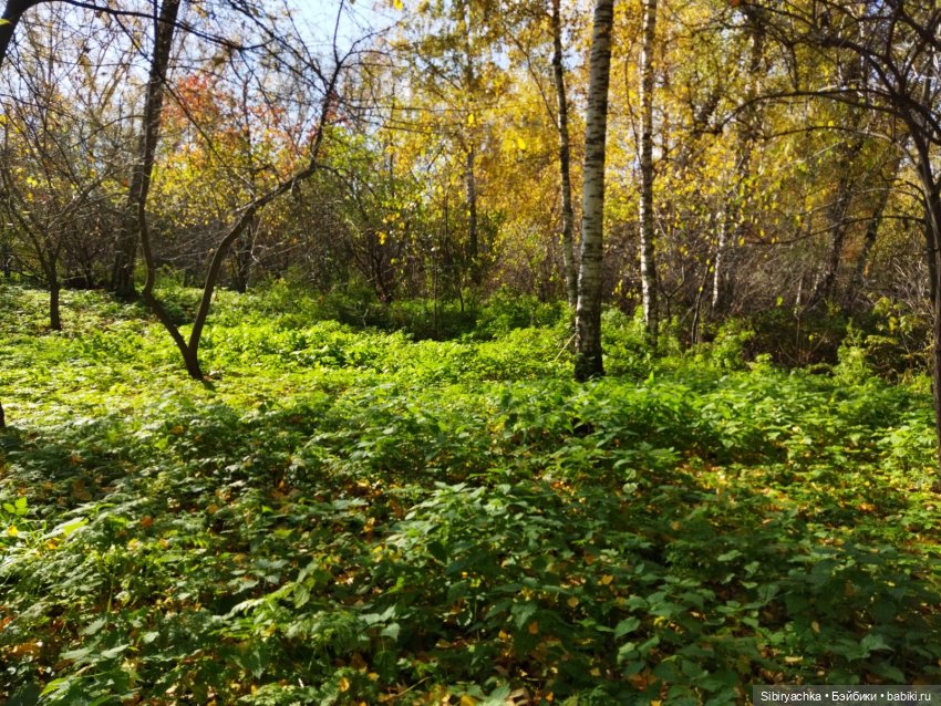 Юля в Ботаническом саду — Советские винтажные куклы (СССР): Ленигрушка