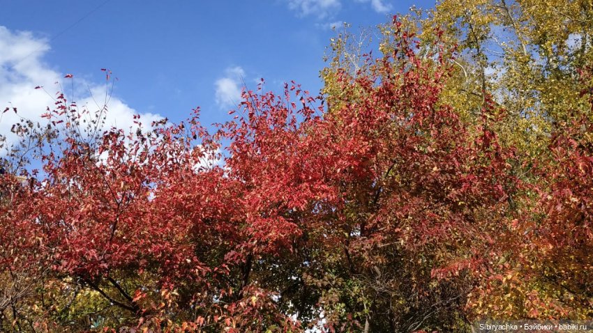 Юля в Ботаническом саду — Советские винтажные куклы (СССР): Ленигрушка