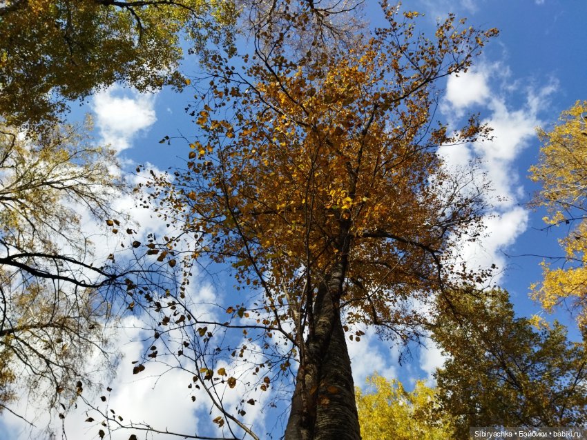 Юля в Ботаническом саду — Советские винтажные куклы (СССР): Ленигрушка