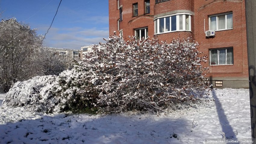 Октябрьский снег — Красивая природа и цветы: фото пейзажей