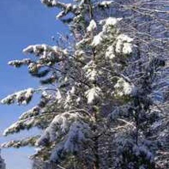 Октябрьский снег.