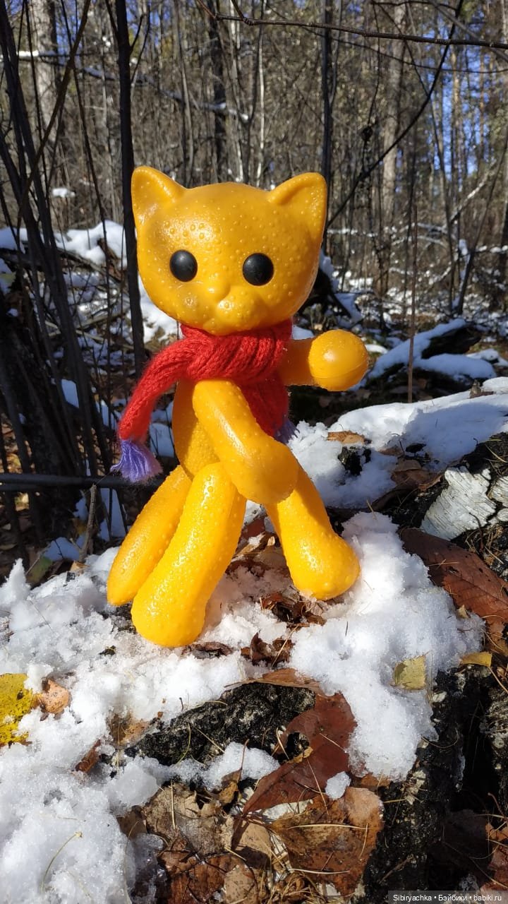 Зимняя прогулка кошечки Мурочки в осеннем лесу