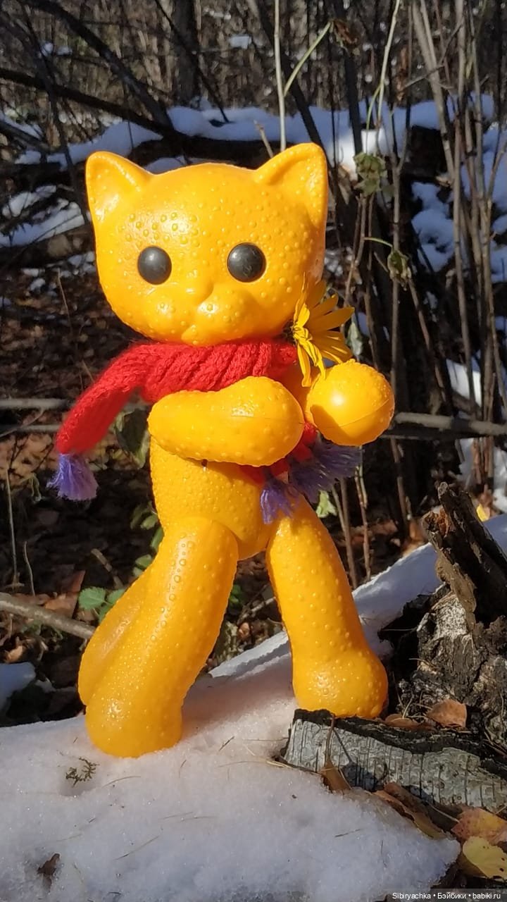 Зимняя прогулка кошечки Мурочки в осеннем лесу