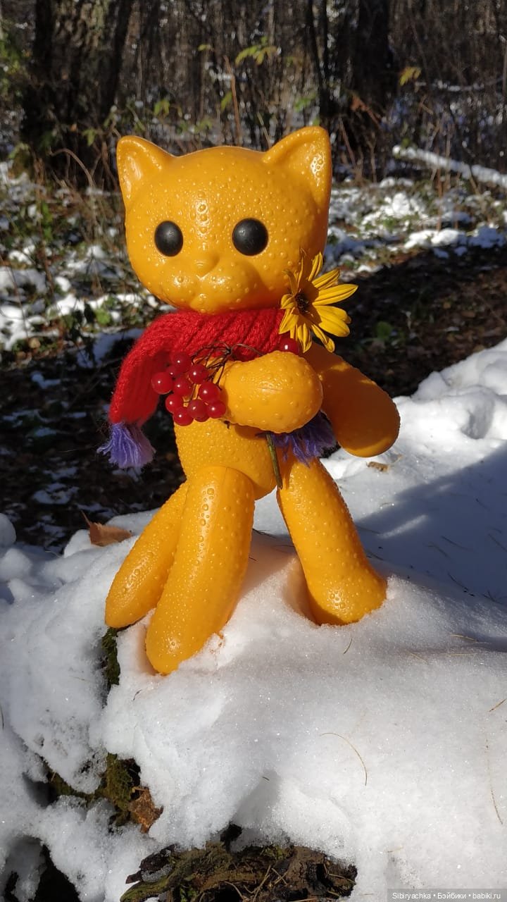 Зимняя прогулка кошечки Мурочки в осеннем лесу