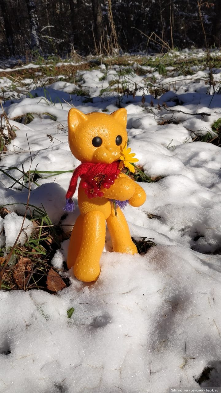 Зимняя прогулка кошечки Мурочки в осеннем лесу