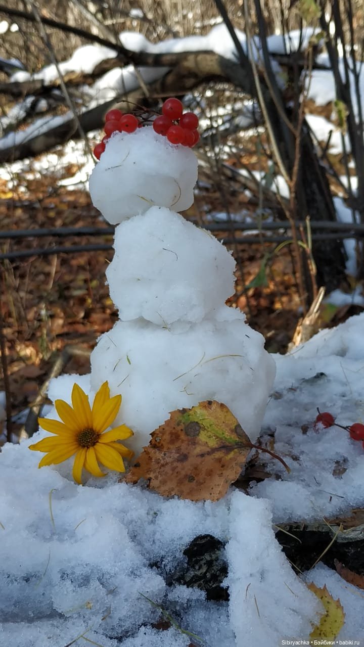 Зимняя прогулка кошечки Мурочки в осеннем лесу
