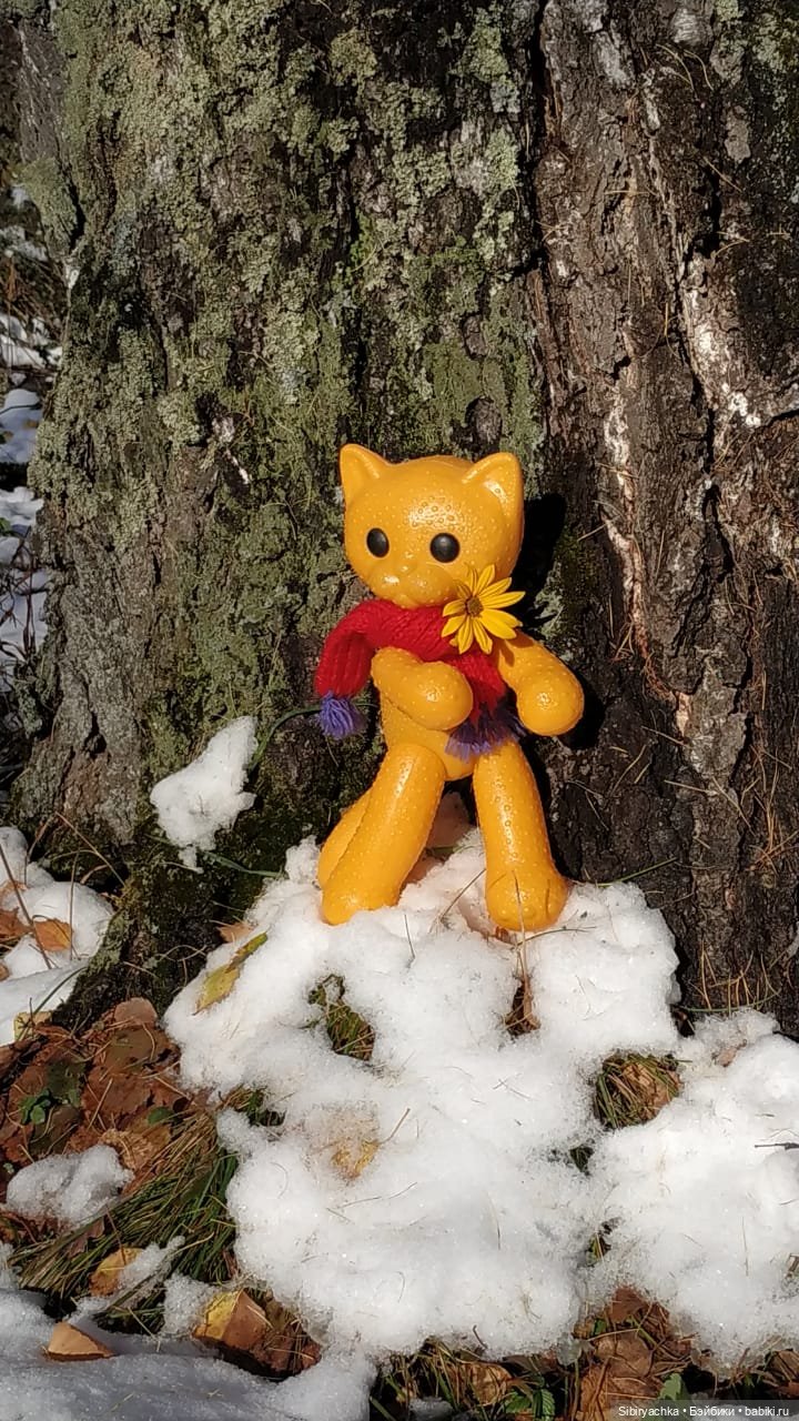 Зимняя прогулка кошечки Мурочки в осеннем лесу