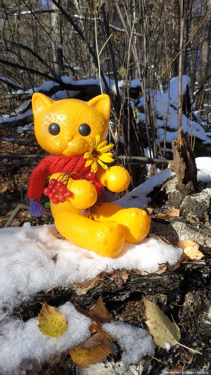 Зимняя прогулка кошечки Мурочки в осеннем лесу