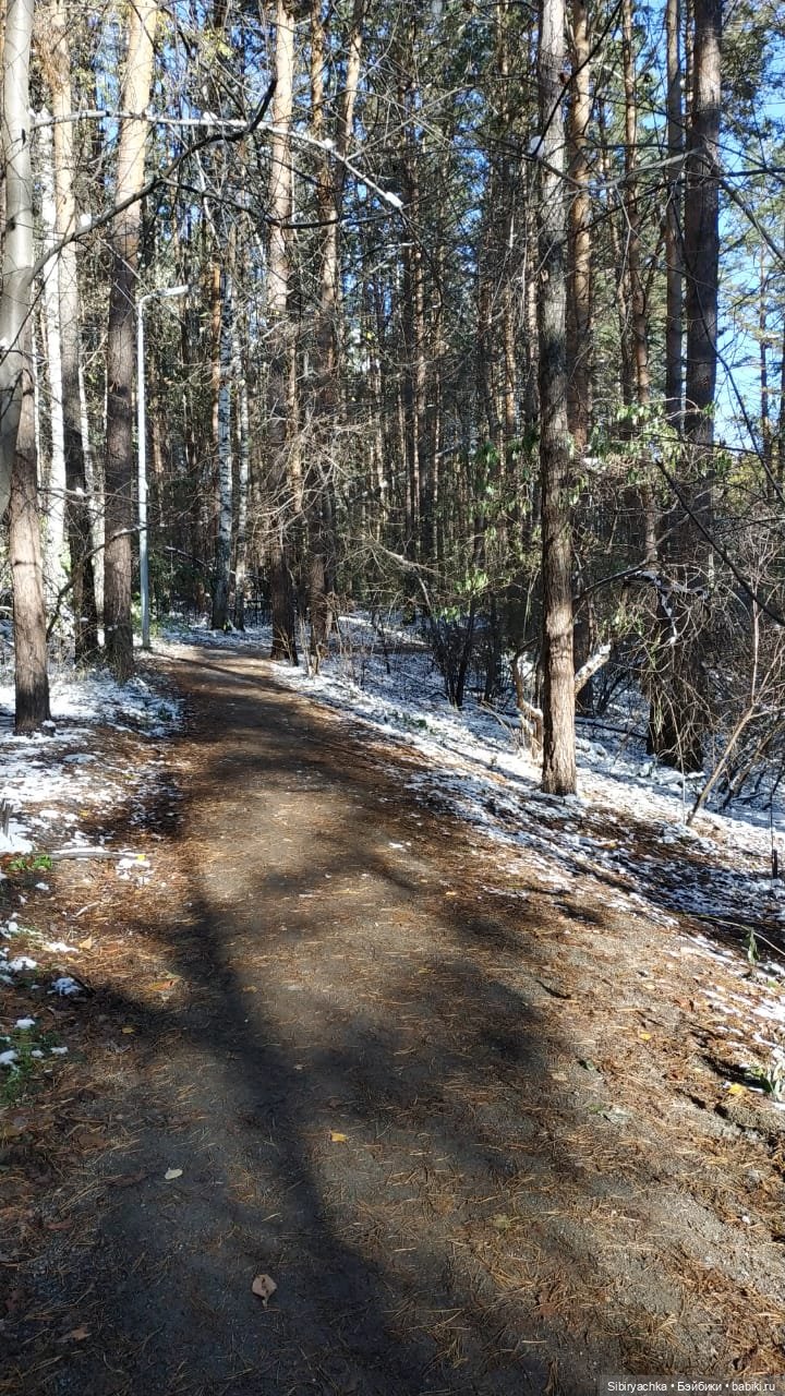 Зимняя прогулка кошечки Мурочки в осеннем лесу