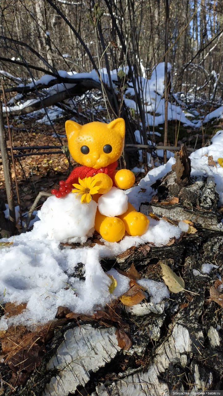 Зимняя прогулка кошечки Мурочки в осеннем лесу