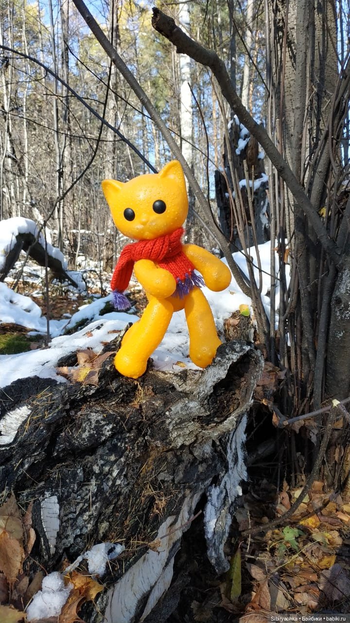 Зимняя прогулка кошечки Мурочки в осеннем лесу