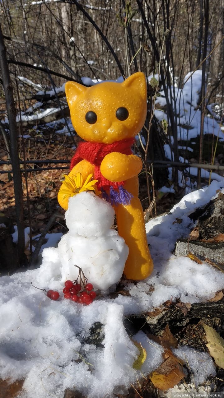 Зимняя прогулка кошечки Мурочки в осеннем лесу