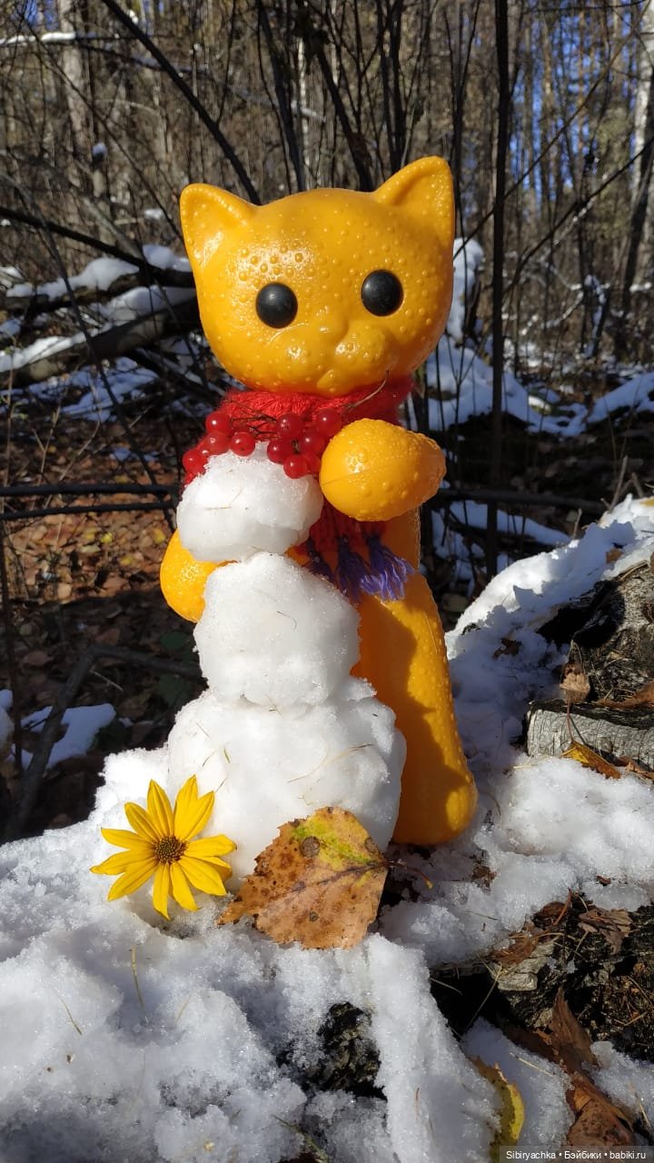 Зимняя прогулка кошечки Мурочки в осеннем лесу