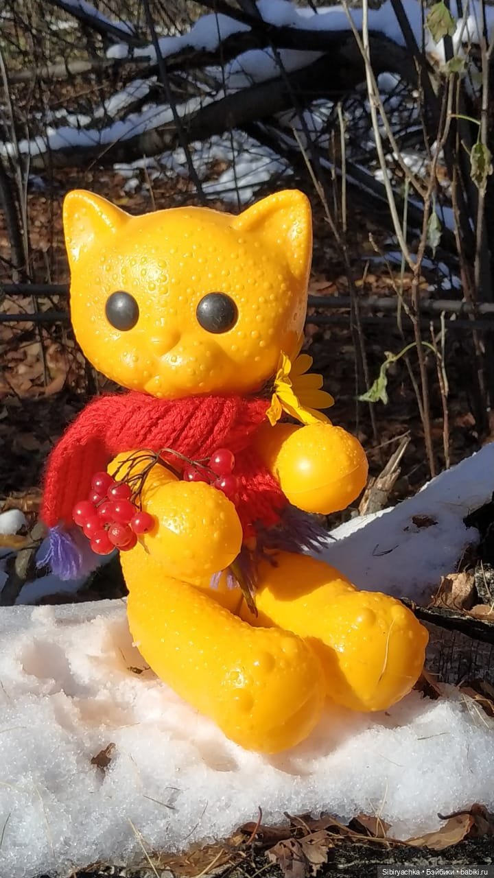 Зимняя прогулка кошечки Мурочки в осеннем лесу