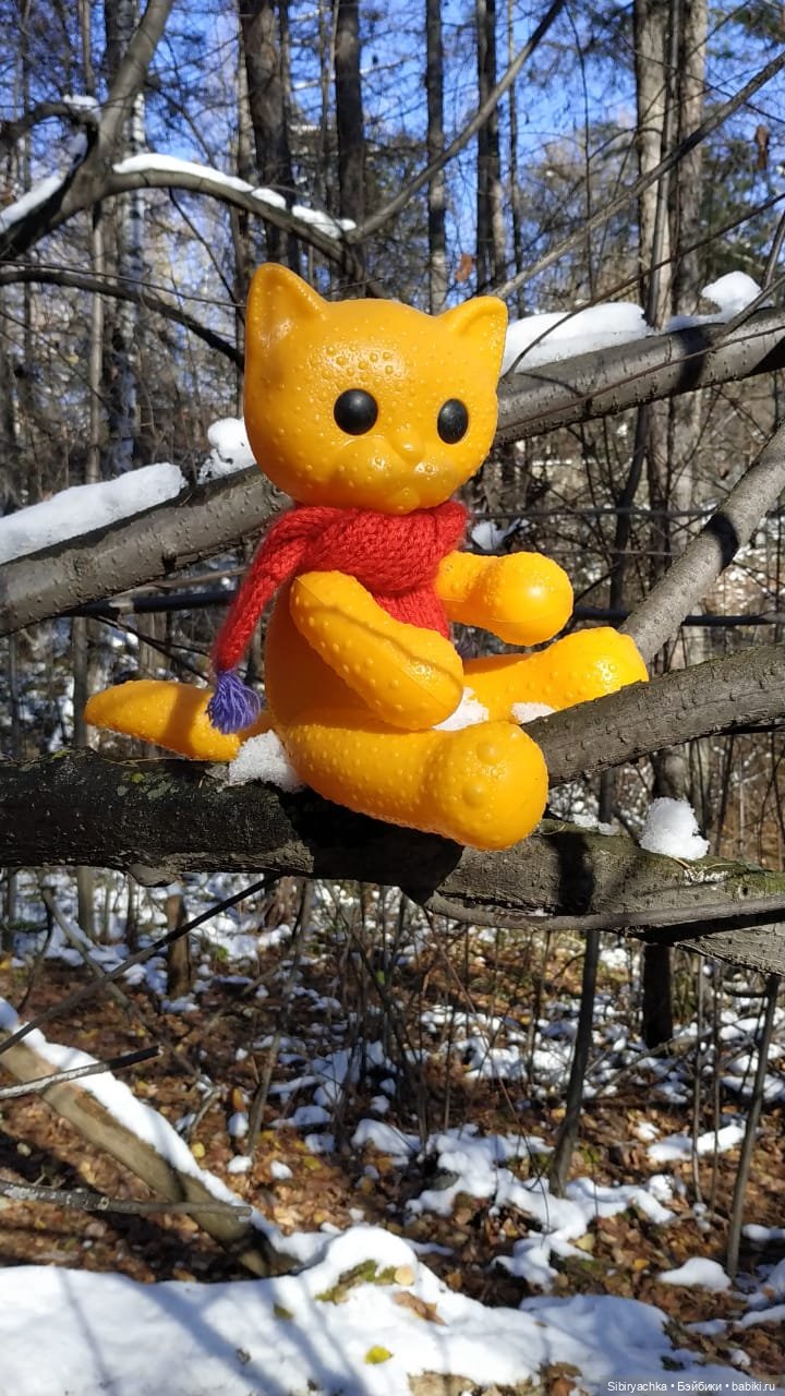 Зимняя прогулка кошечки Мурочки в осеннем лесу