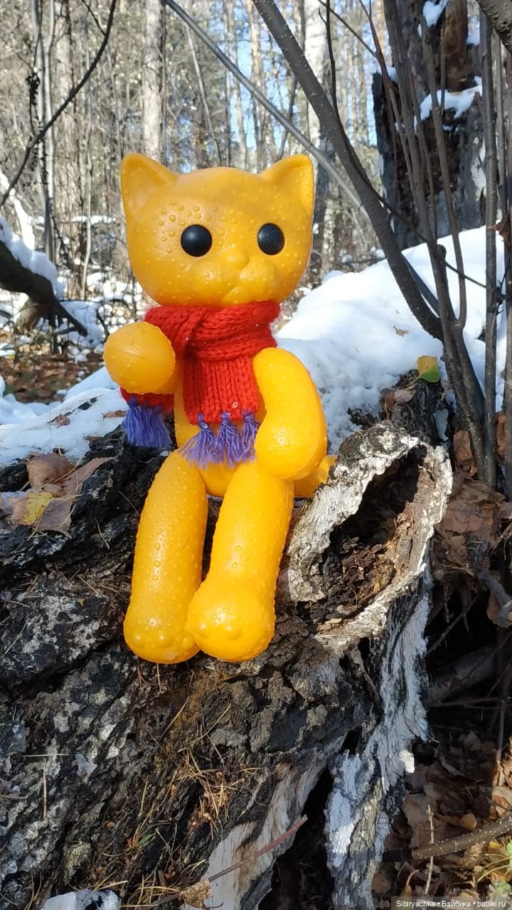 Зимняя прогулка кошечки Мурочки в осеннем лесу