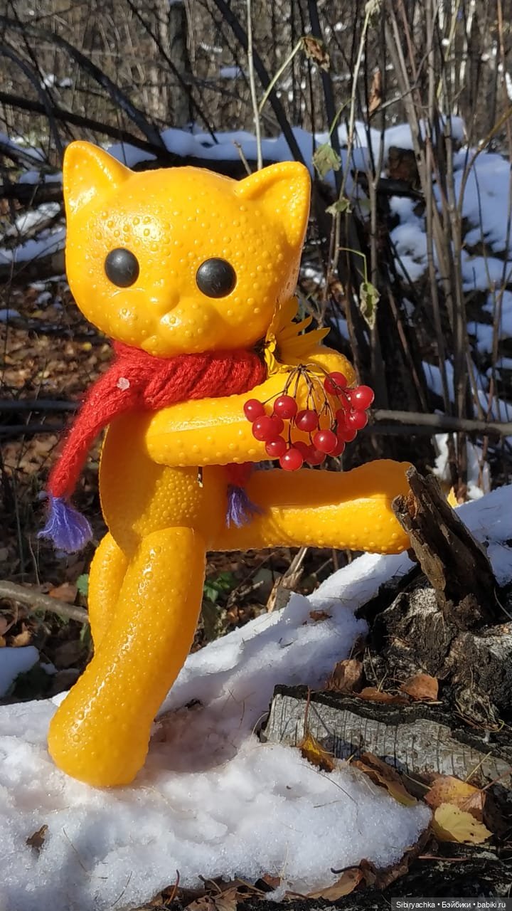 Зимняя прогулка кошечки Мурочки в осеннем лесу