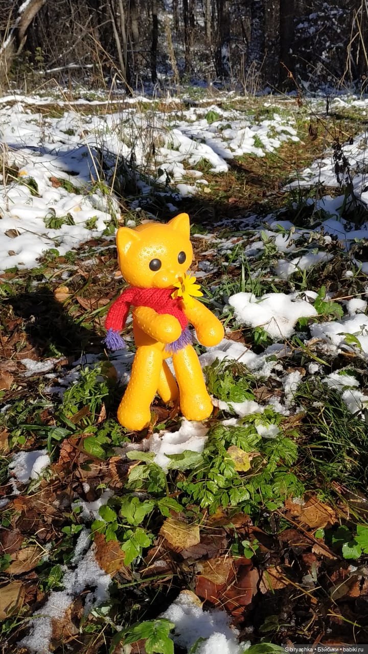 Зимняя прогулка кошечки Мурочки в осеннем лесу