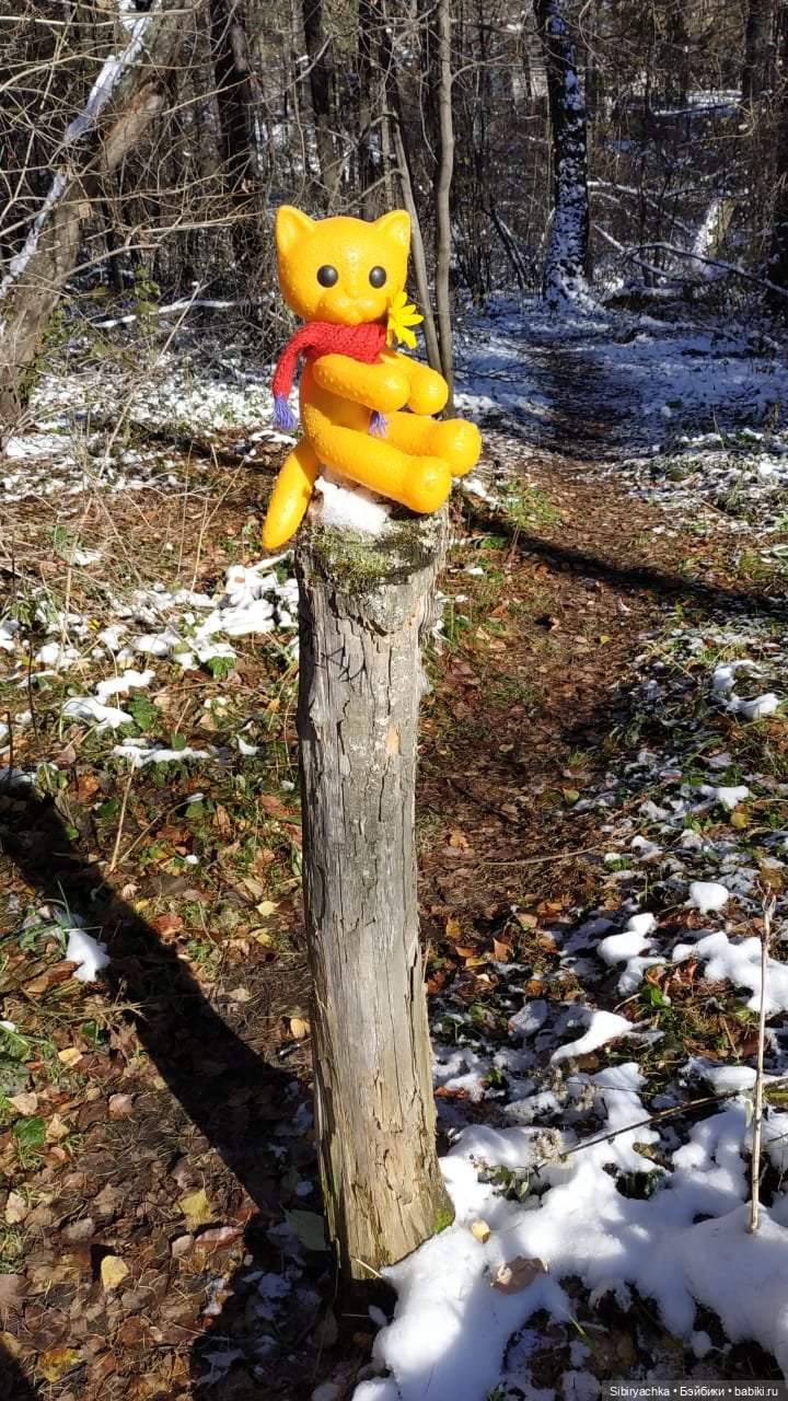 Зимняя прогулка кошечки Мурочки в осеннем лесу