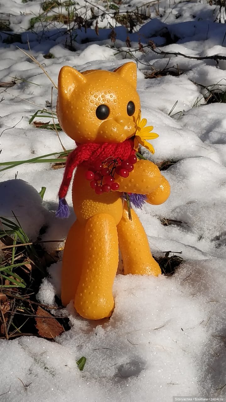 Зимняя прогулка кошечки Мурочки в осеннем лесу