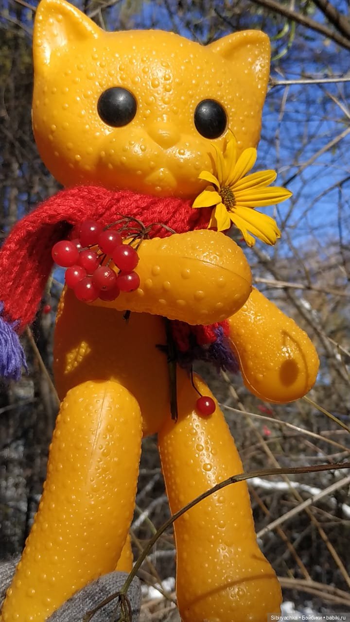 Зимняя прогулка кошечки Мурочки в осеннем лесу