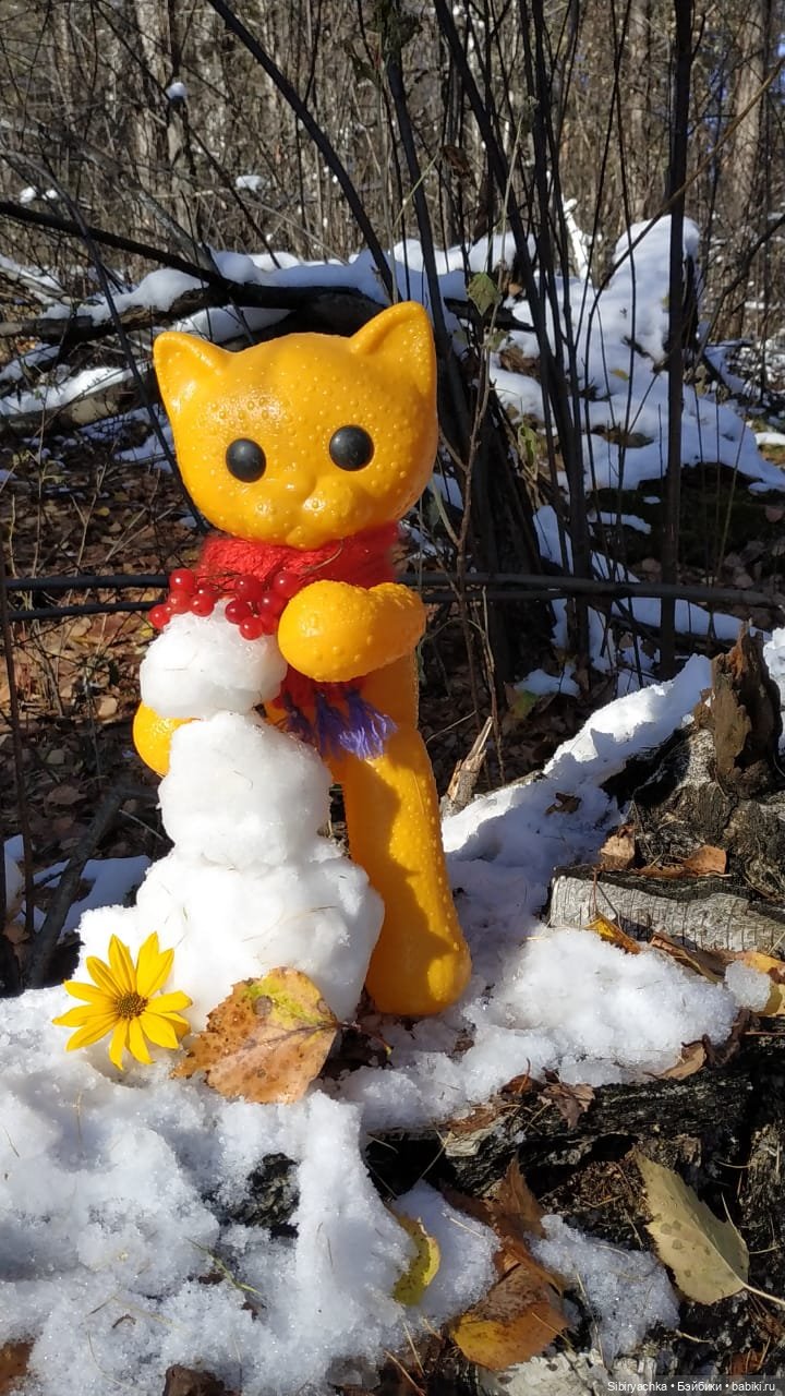 Зимняя прогулка кошечки Мурочки в осеннем лесу