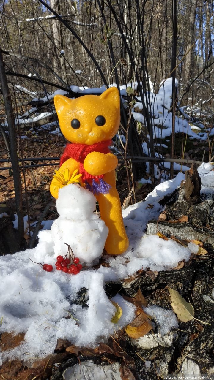 Зимняя прогулка кошечки Мурочки в осеннем лесу