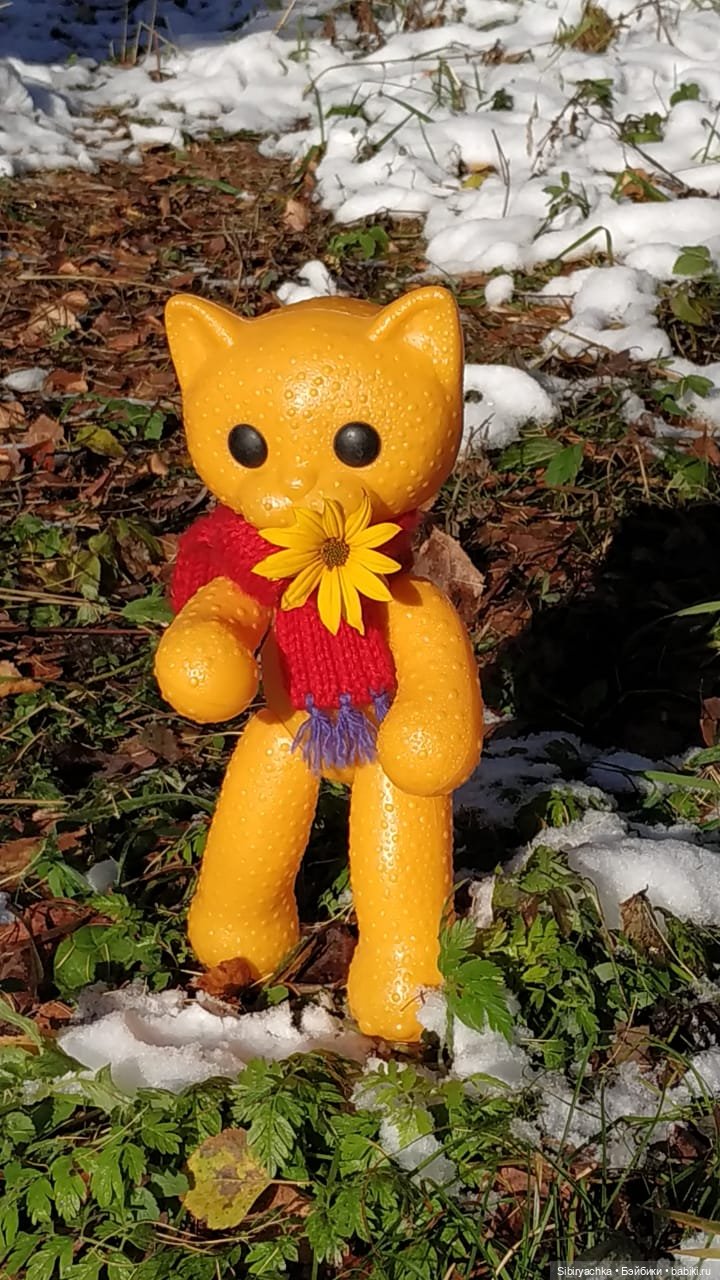 Зимняя прогулка кошечки Мурочки в осеннем лесу