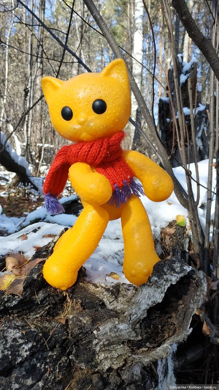 Зимняя прогулка кошечки Мурочки в осеннем лесу