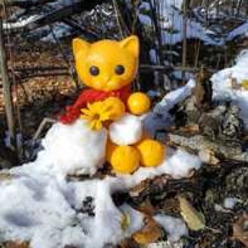 Зимняя прогулка кошечки Мурочки в осеннем лесу.