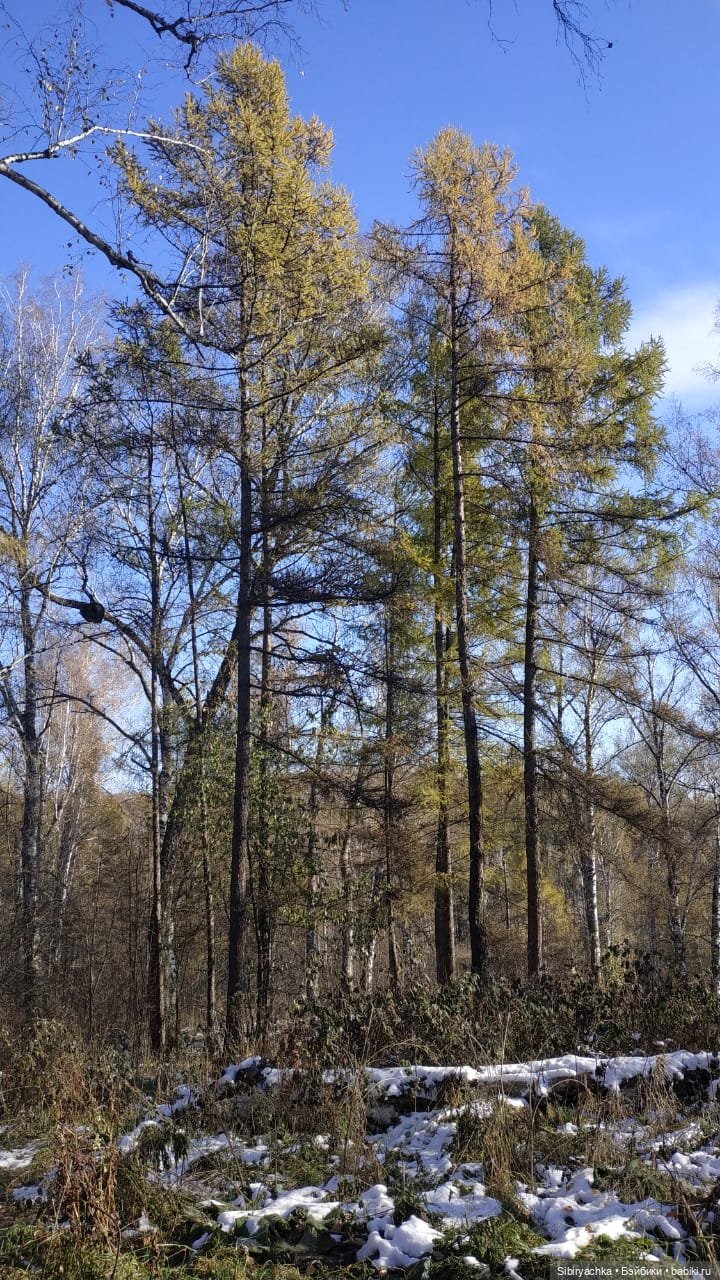 Октябрьская прогулка — Советские винтажные куклы (СССР): Ленигрушка