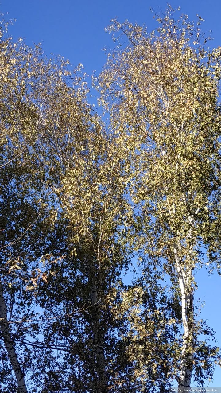 Октябрьская прогулка — Советские винтажные куклы (СССР): Ленигрушка